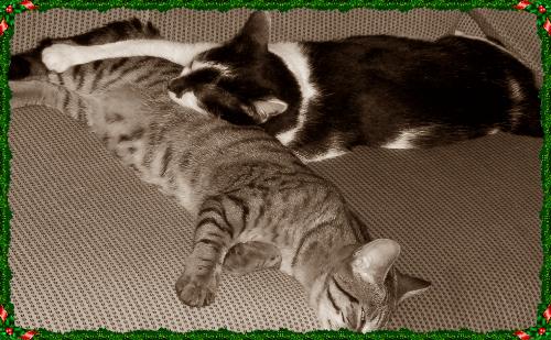 sleeptime - cute