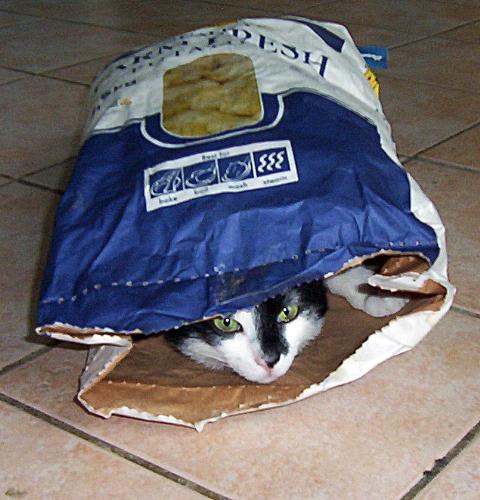 new potato:) - funny