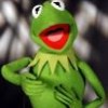 Kermit God? - A new species of frog