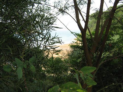 nature - nature photo