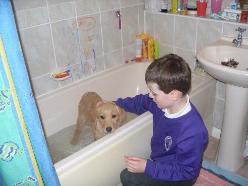 puppyinbath - puppy being bathed by my son