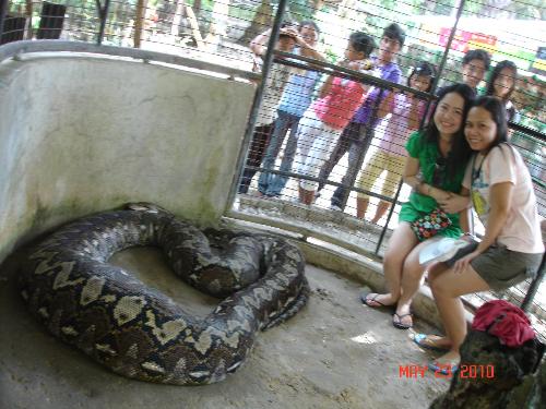 My sister and I with the big snake 'Prony' - This photo taken last May ...