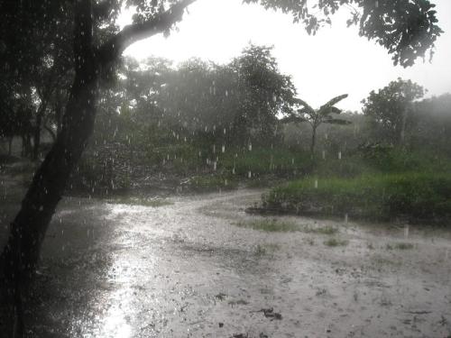 Monsoon rains - A rainy day...