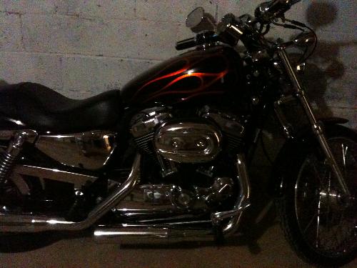 Motorcycle - 2008 Harley Sportster
