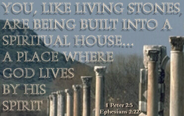 Gods word - Nice and insparable