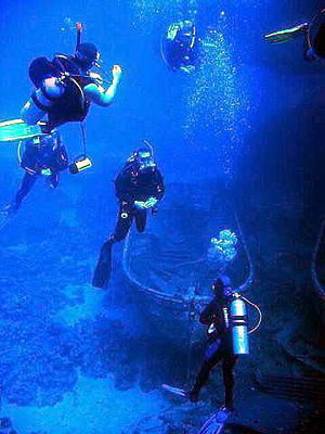 divers - fun underwater