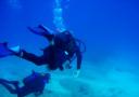 gliding underwater - grace underwater