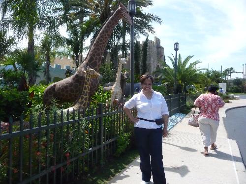 Holy Land Experience - Cool breeze!