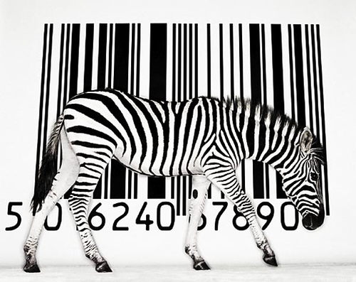 barcode - what does EAN, barcode mean