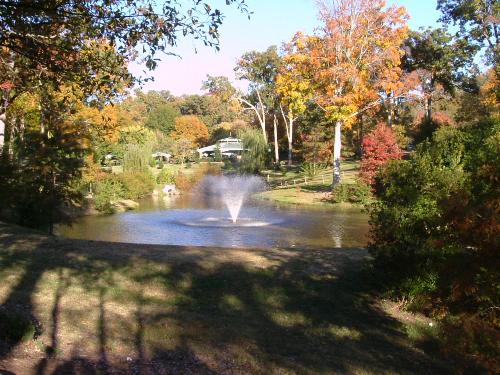 Beautiful scenery - Grant Park in Atlanta, where Zoo Atlanta is set and the Cyclorama. The park is simply stunning, this was fall 2008 when we visited