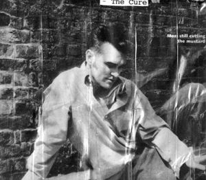 morrissey - this is picture of my bajb morrissey