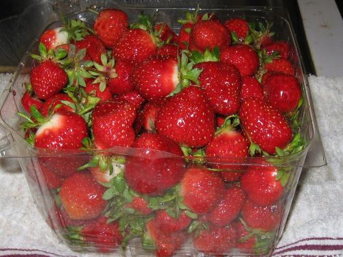 freshly picked - Todays pickings so far. June, 9th, 2010.