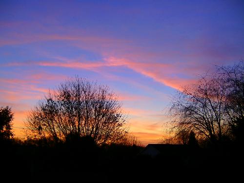 whispy pink clouds at sunset - these are some whispy pink cloud i saw and took a picture of at sunset.