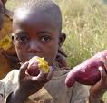 The children of Africa who live in remote areas. - The children of these Africans were eating sweet potatoes for filling their stomachs.