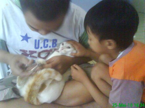 My children and my husband - My children and my husband was cutting a cat's nails