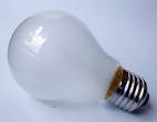 bulb - bulb