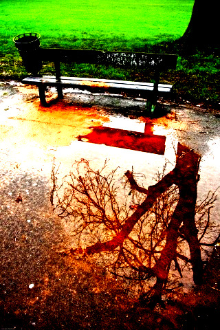 mirror in the water! - mirror of the water:)