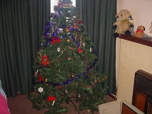 Our Christmas tree - here in Tasmania it is different around Christmas time. For one thing they have BBQ's ..