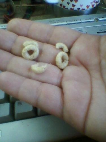 photo, happy face, cheerios, funny, Marley, dog - I made a happy face with my cheerios while feed them to my dog he had to wait for me to take this photo and then ignore happy face lol