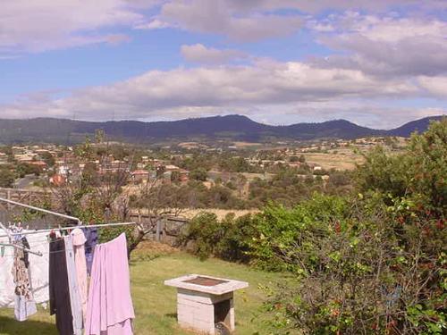 Our yard  - Nice veiw .. the Silver Crested cockatoos fly by all the time