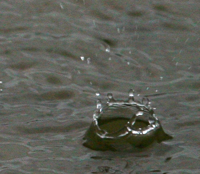 Raindrop landing on water - Close-up of a raindrop landing on water