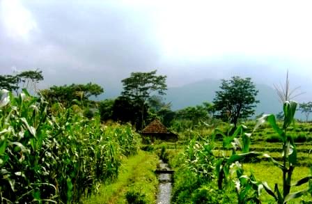 country beauty - serenity, calm...