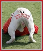 UGA - GOOO DAWGS!!! Georgia Bulldog: UGA