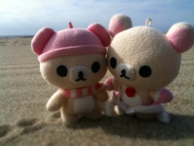 cute bears - bear plushies