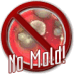 No mold - No mold