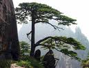Huangshan mountain 3 - the third photo of huangshan mountain