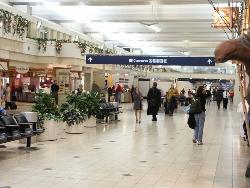 Shopping - Shopping Mall