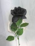 black rose - black rose