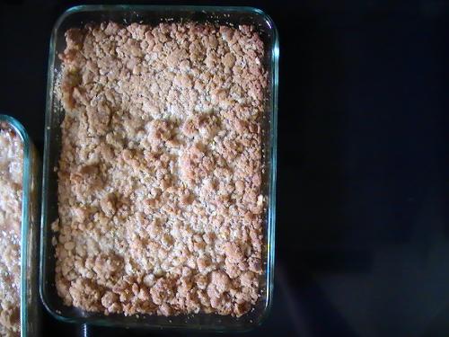 Rhubarb Crumble - Rhubarb crumble dessert made with rhubarb from my neighbour's garden. For the recipe and more about my backyard garden visit my blog: http://linkb.com/gardenblog