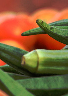 lady finger - lady finger fruit, good for blood sugar control