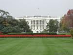 white house - a photo of white house