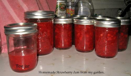 Jam - My first try ever at making jam turned out flawlessly.