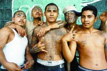 Gang - This is photo of MS13 gang...