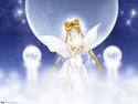 sailormoon - my favorite cartoon character