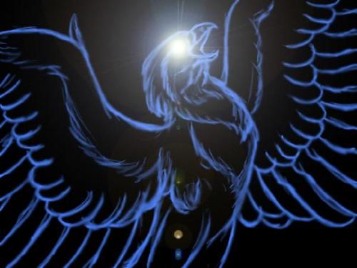 blue phoenix - its the pic of blue phoenix