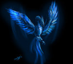 phoenix - blue phoenix