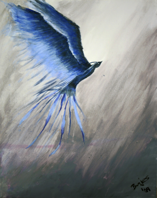 phoenix - its the phoenix bird
