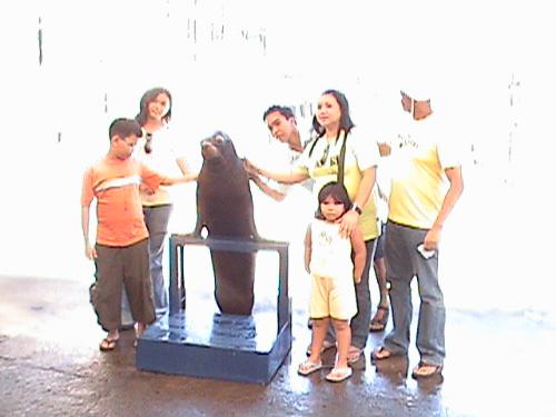 taken photo sea lion with us - this was taken a year ago. just want to show the experience we had way back. my gosh this photo worth P1,000 pesos with just one shot this is expensive.