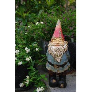My Garden Gnome - This is a photo of the garden gnome I bought. I took a picture of mine standing next to the mushrooms but can't upload it until I've found the cord to connect my camera with my computer.