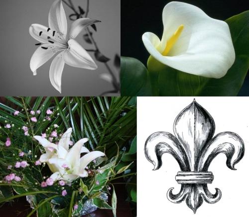 lily and cale lily - lily, fleur de lys, cale lily. Romanian "crin" and "cala" lily and cale lily - lily, fleur de lys, cale lily. Romanian "crin" and "cala"