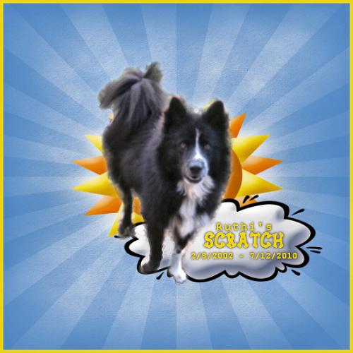 Scratch -- my Sunshine Girl - Ruthi's Scratch. Scratch -- my Sunshine Girl - Ruthi's Scratch.