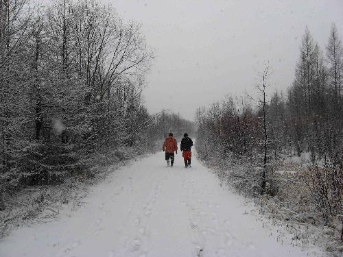 beautiful snow - i taked this picture last winter when i did some fild experiment. is it beautiful?