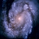 M100 Galaxy - This is a NASA photo of the Galaxy called M100. I think it's quite nice and use it for my profile photo on other sites. This astronomy image has been released to the public domain.