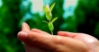 growing postively - grow to be better growing postively - grow to be better