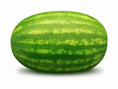 watermelon - The image of watermelon