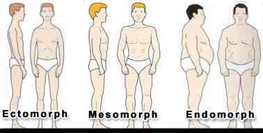 body type - you can check where your body type falls ectomorph, endomorph, mesomorph